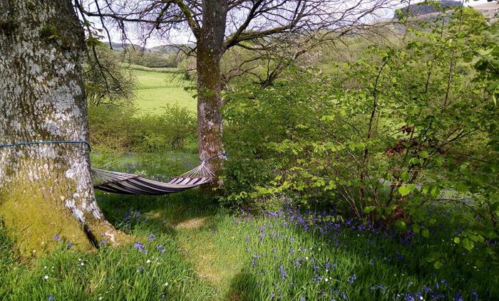 Read, snooze or just enjoy the views of Mid Wales.